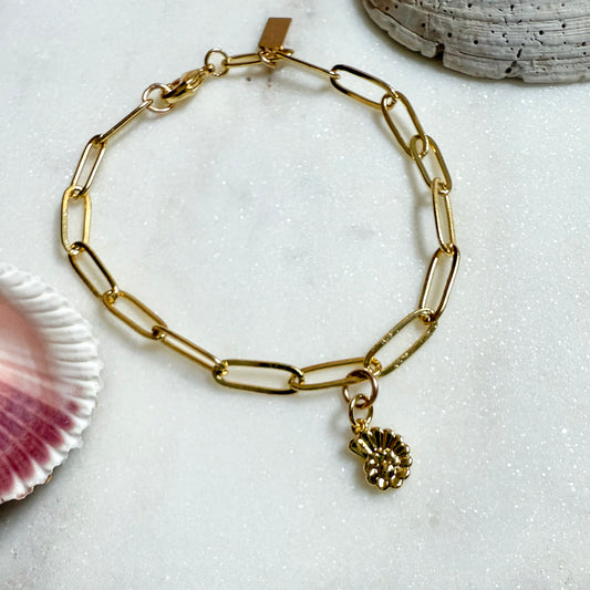 Gold paperclip chain bracelet with gold shell charm, handcrafted by Hope & Raye.