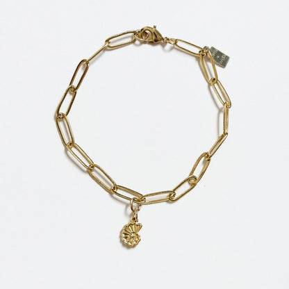 Seashell dainty gold bracelet with gold-filled clasp handcrafted by Hope and Raye. Mom-owned business located in Atlanta Georgia. Made in small batches and always gold-filled. Never played. 